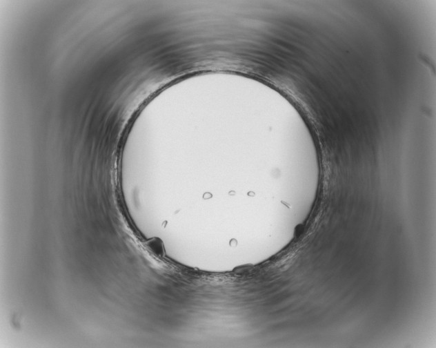 X0000102251040200808151813