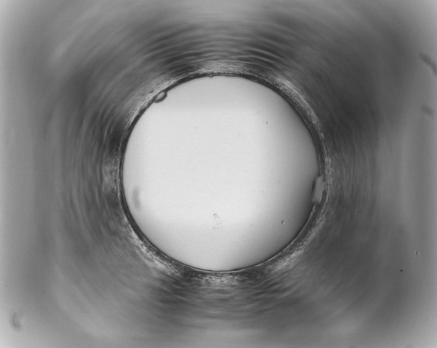 X0000102251041200808151813