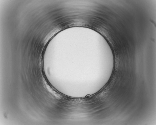 X0000102251042200808151813