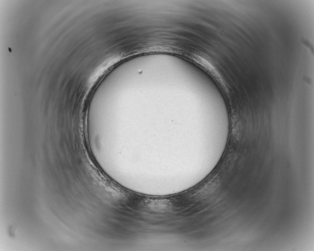 X0000102251043200808151813