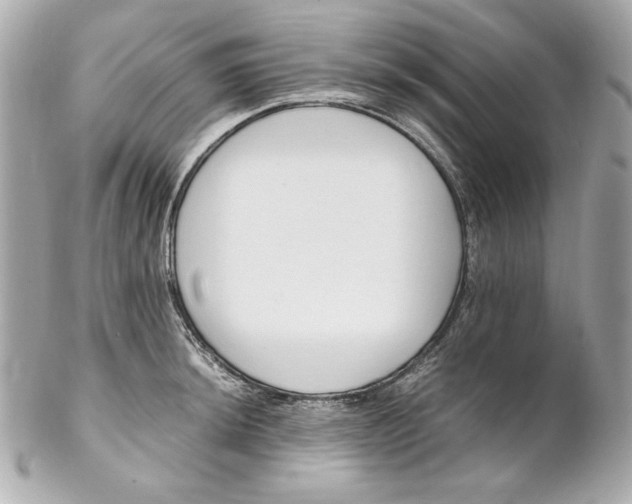 X0000102251044200808151813