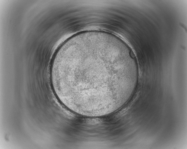 X0000102251045200808151813