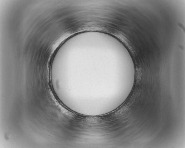 X0000102251046200808151813