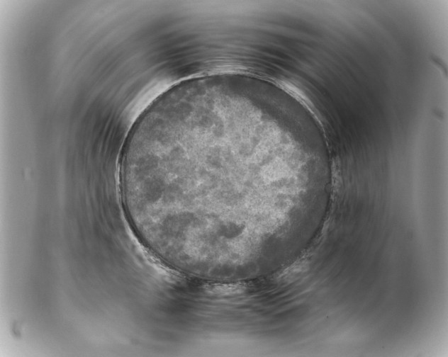 X0000102251047200808151813