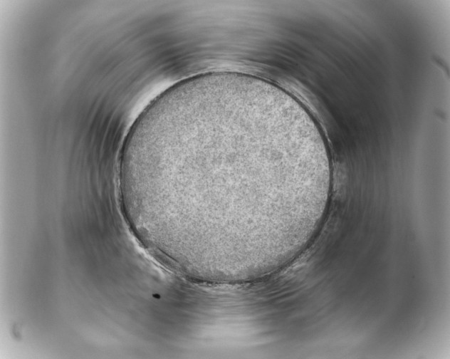 X0000102251048200808151813