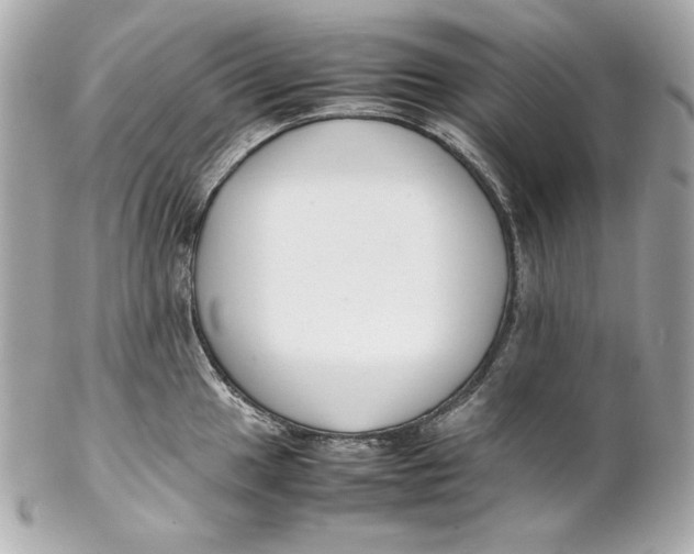 X0000102251049200808151813