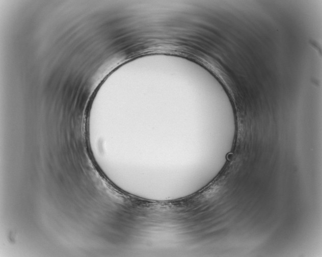 X0000102251050200808151813