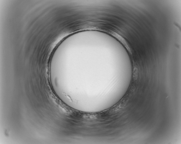 X0000102251051200808151813