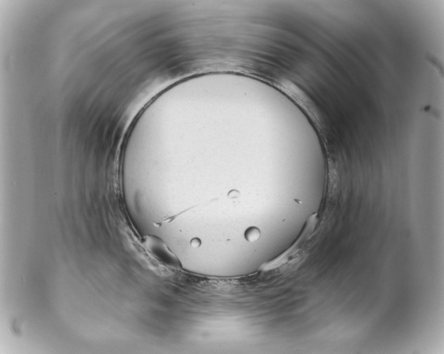 X0000102251052200808151813