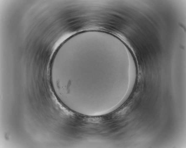 X0000102251053200808151813