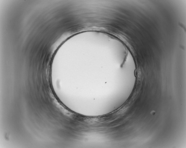 X0000102251054200808151813