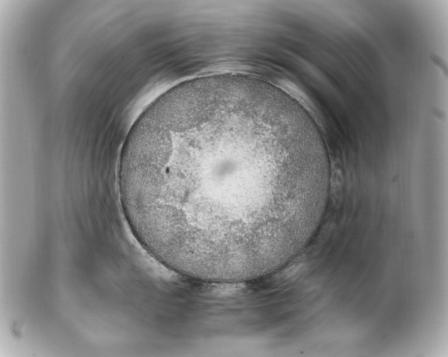 X0000102251055200808151813