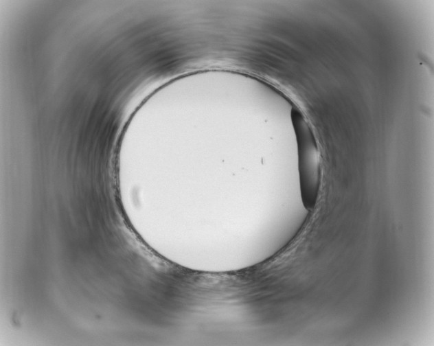 X0000102251056200808151813