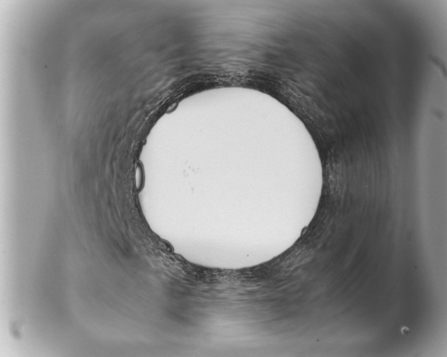 X0000102251057200808151812