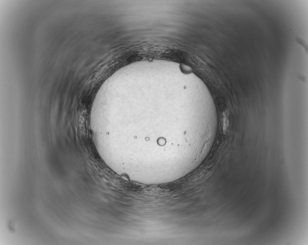 X0000102251059200808151812