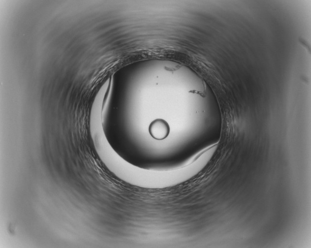 X0000102251060200808151812