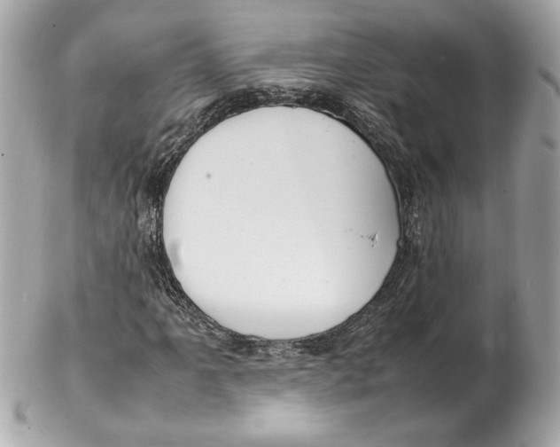 X0000102251061200808151812