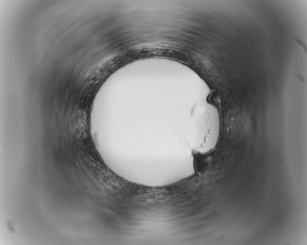 X0000102251062200808151812