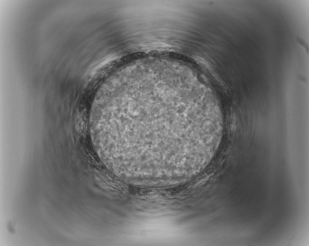 X0000102251063200808151812