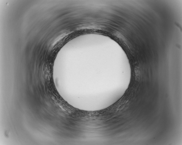 X0000102251064200808151812