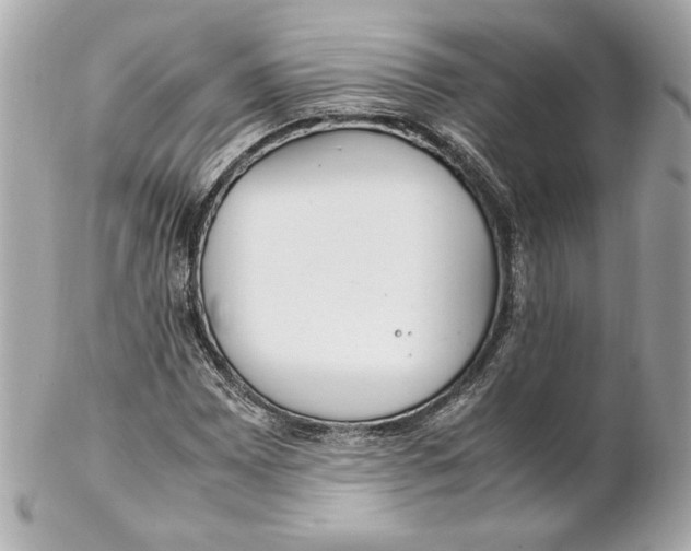 X0000102251065200808151812