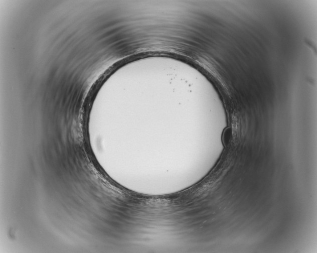 X0000102251068200808151812