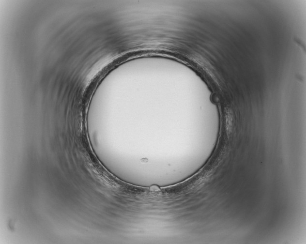 X0000102251069200808151812