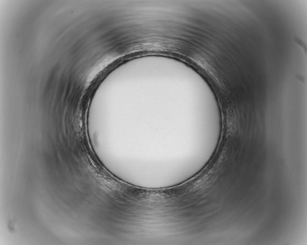 X0000102251070200808151812