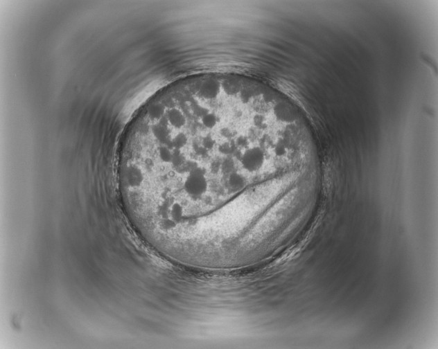 X0000102251071200808151812