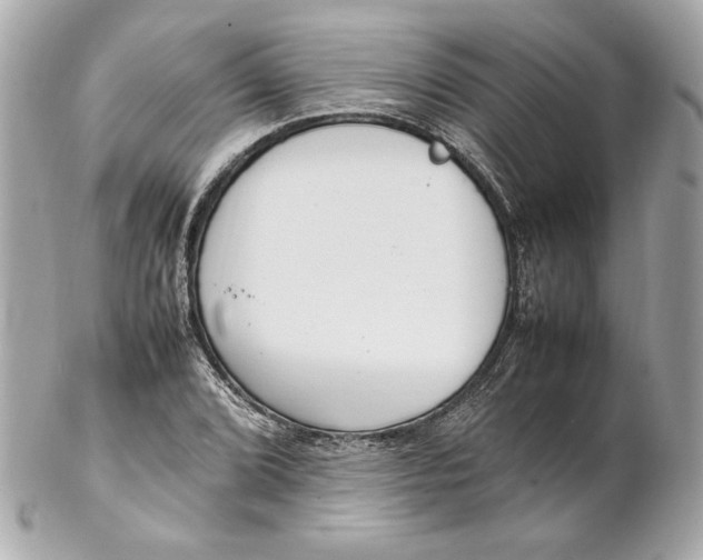 X0000102251072200808151812