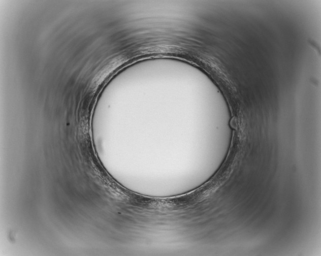 X0000102251073200808151812