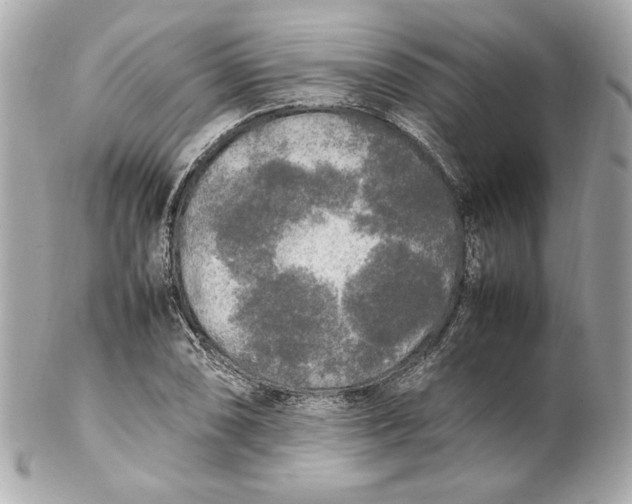 X0000102251074200808151812