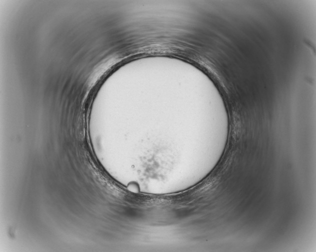 X0000102251075200808151812