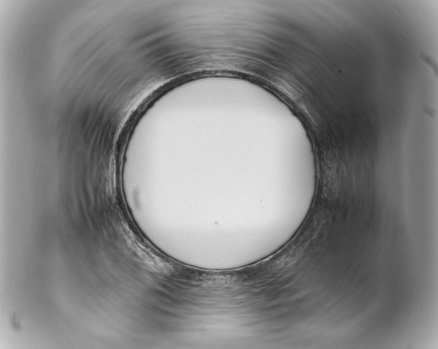 X0000102251076200808151812