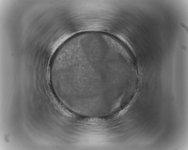 X0000102251077200808151812