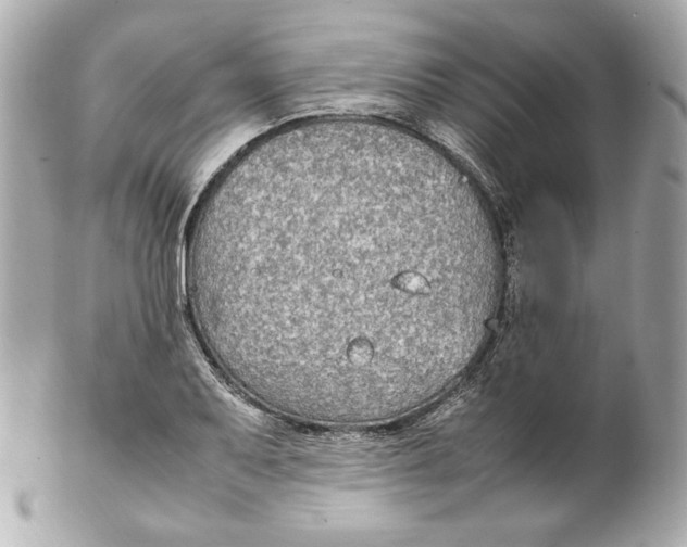 X0000102251079200808151812