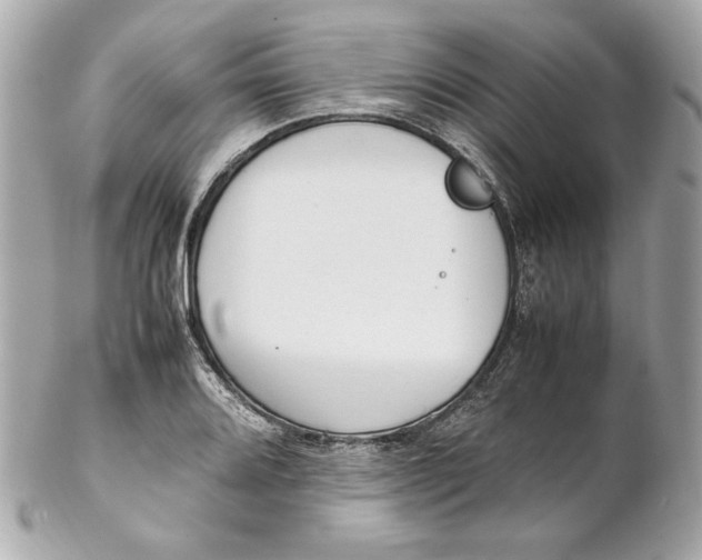 X0000102251080200808151812