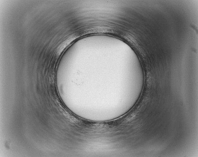 X0000102251081200808151812