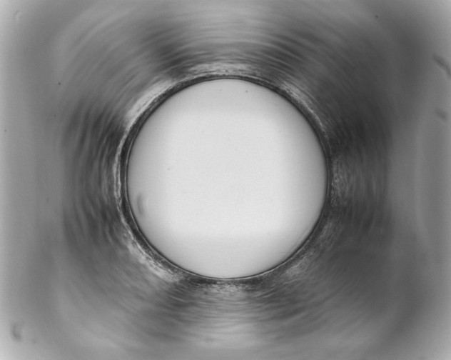 X0000102251082200808151812