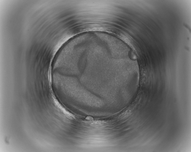 X0000102251084200808151812