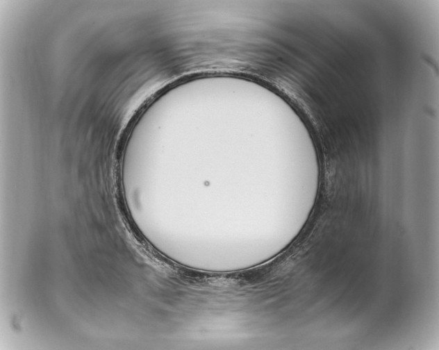 X0000102251085200808151812