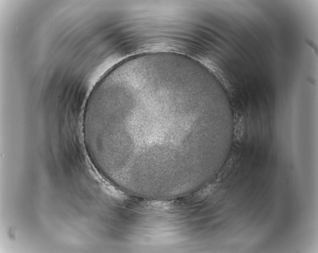 X0000102251086200808151812