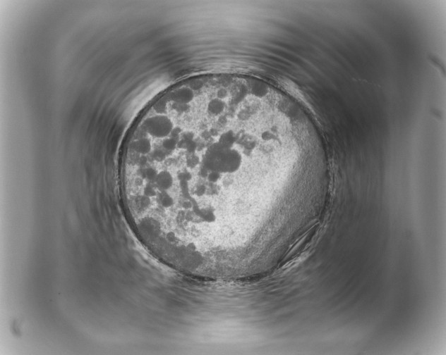 X0000102251087200808151812