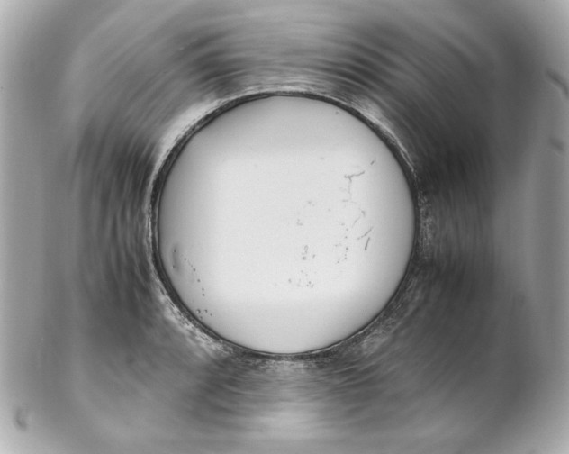 X0000102251088200808151812