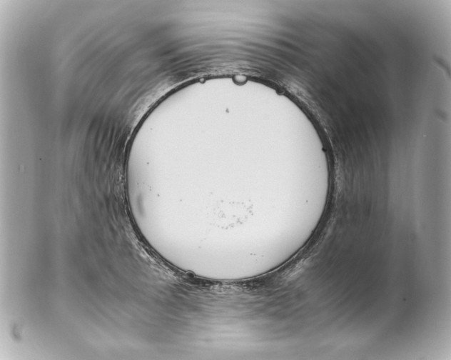 X0000102251089200808151812