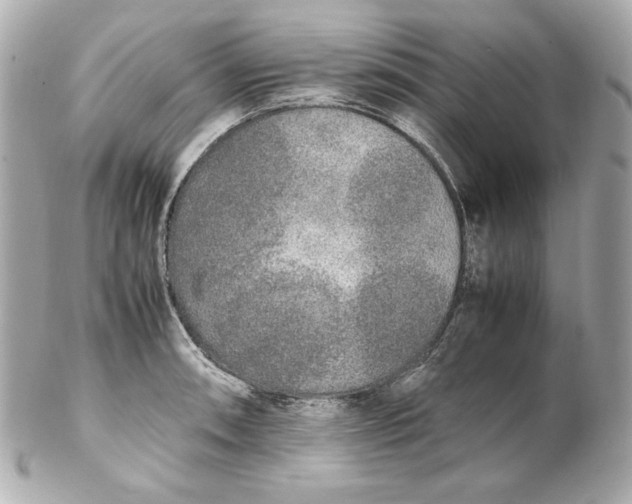 X0000102251090200808151812