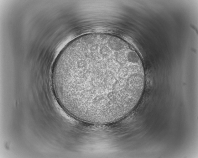 X0000102251091200808151812