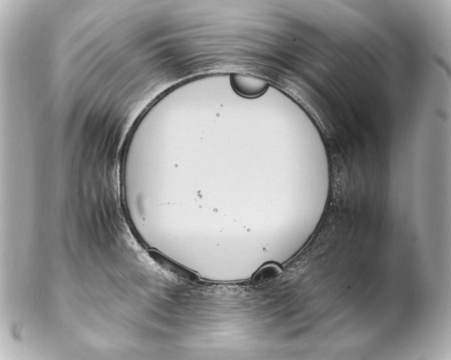 X0000102251092200808151812