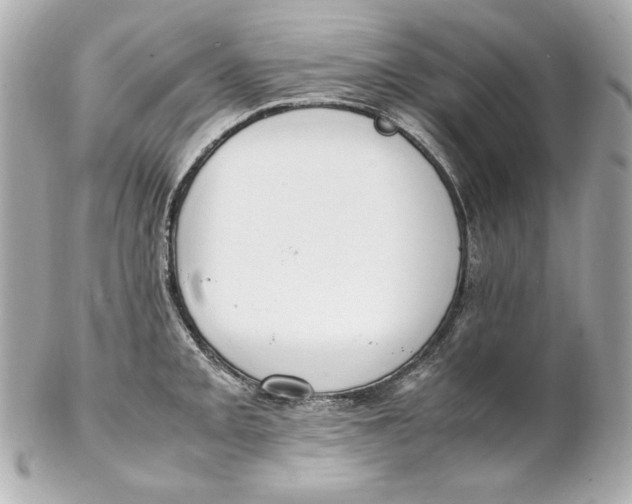 X0000102251093200808151812