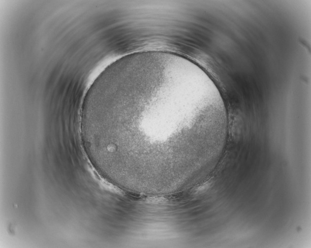 X0000102251094200808151812